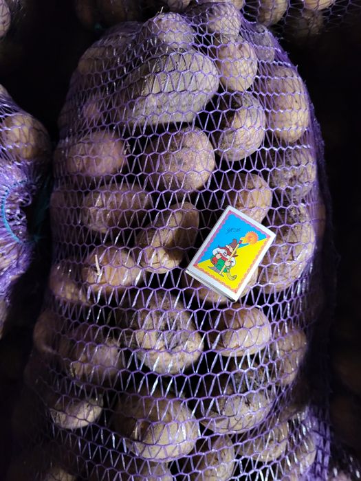Продам картоплю дуже смачна, ДОСТАВКА. БЕЗ ХІМІКАТІВ бульба картофель