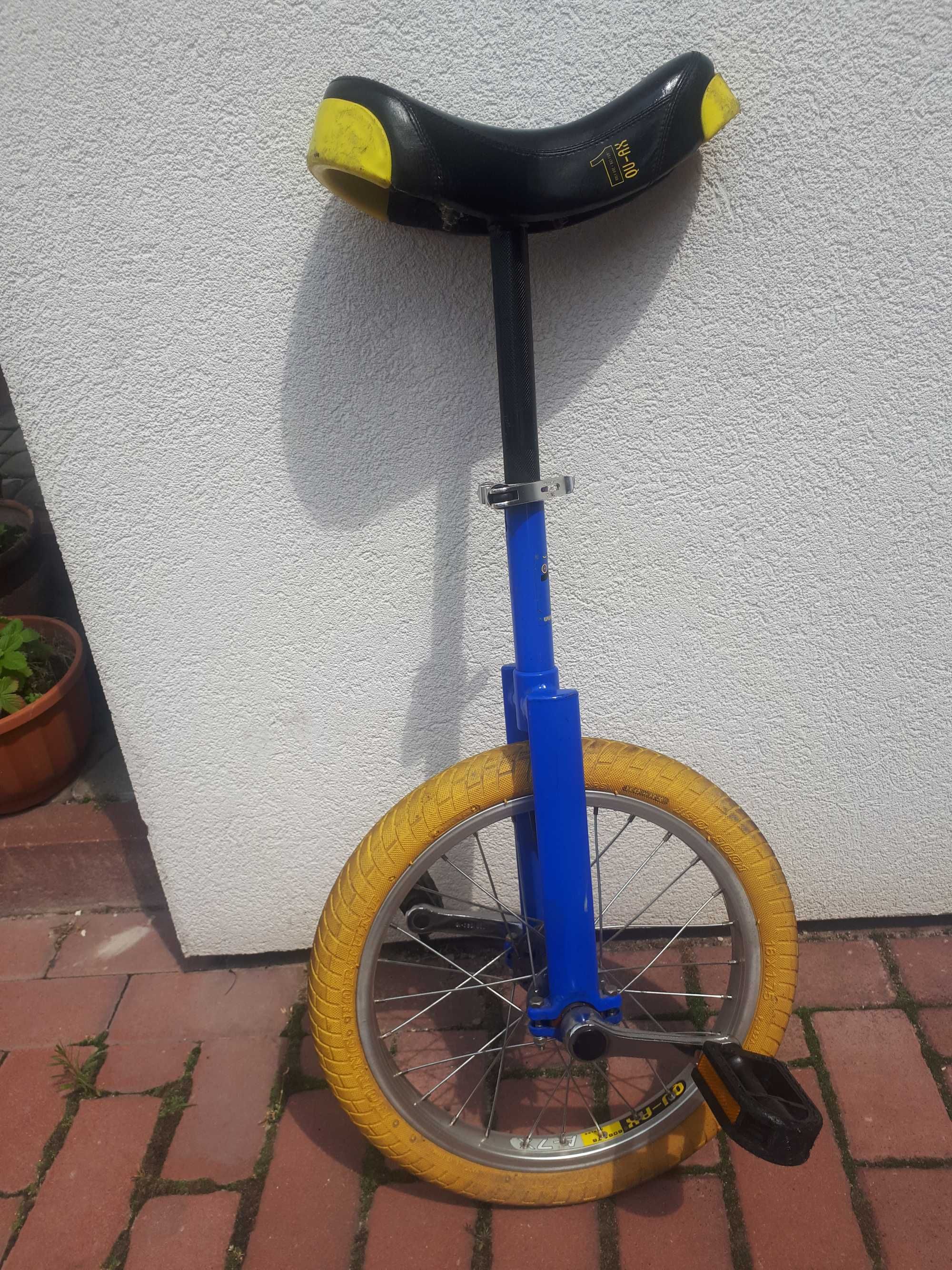 Monocykl, rower dla wybranych