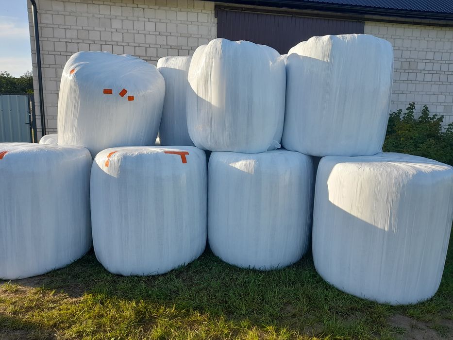 Bele lucerny kiszonka