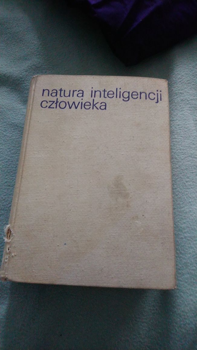 Joy Paul Guildorf Natura inteligencji człowieka 1978