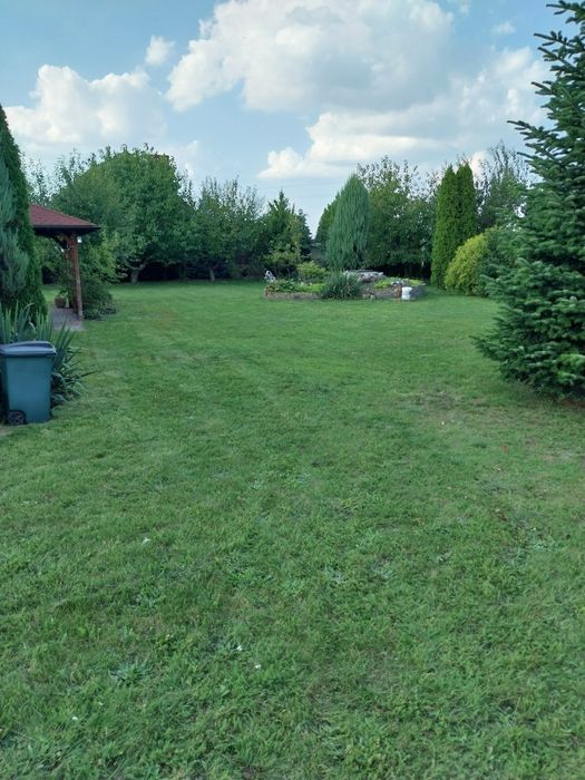 Solidne sprzątanie i usługi ogrodnicze – Jarocin i okolice