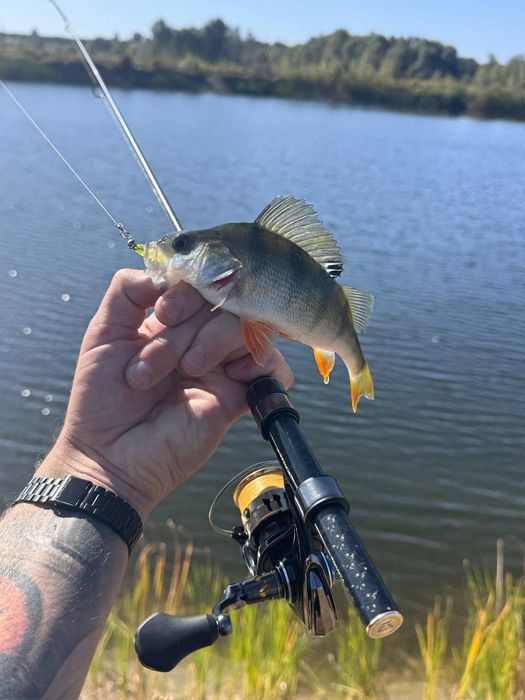 Azura X-Game X64SUL Nano TZ 1.93м 0.2-2г