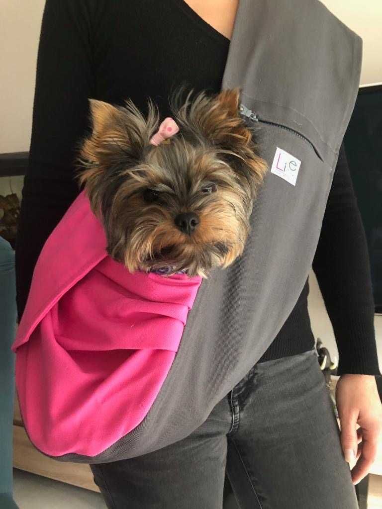 Torba dla psa yorka, maltańczyka, chihuahua / nosidełko LileTink.pl