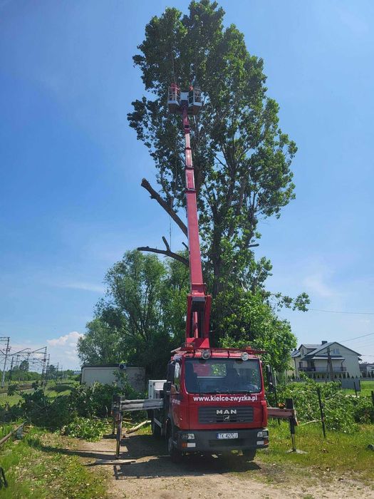 Podnośnik Koszowy Zwyżka Wycinka Drzew Gałęzi Wysięgnik Montaż Reklam