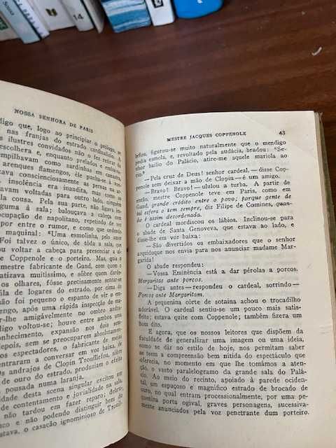 Livro D. Vitor Hugo