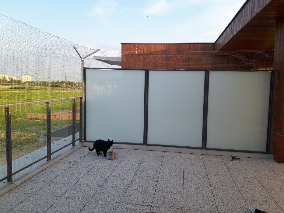 Bezpieczeństwo Twojego kota. Siatka na balkon, okno