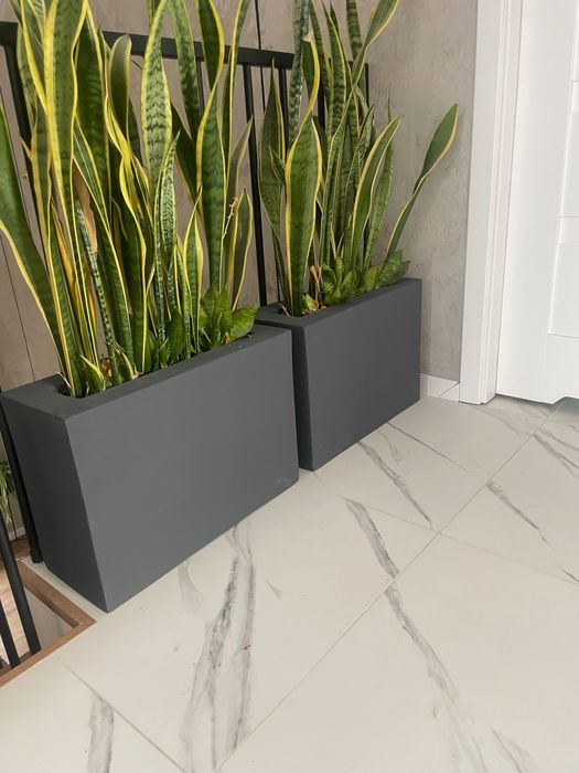 Termodonice & zabudowa