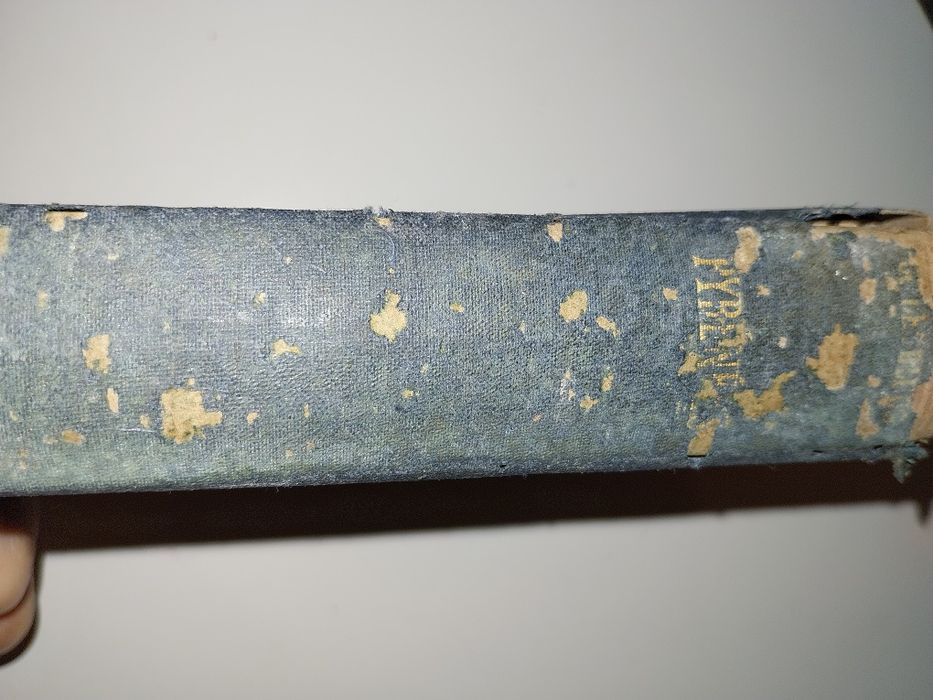 : Les Guides Bleus: Pirenéus franceses e espanhóis,1925