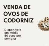 Ovos  frescos de codorniz caseiros