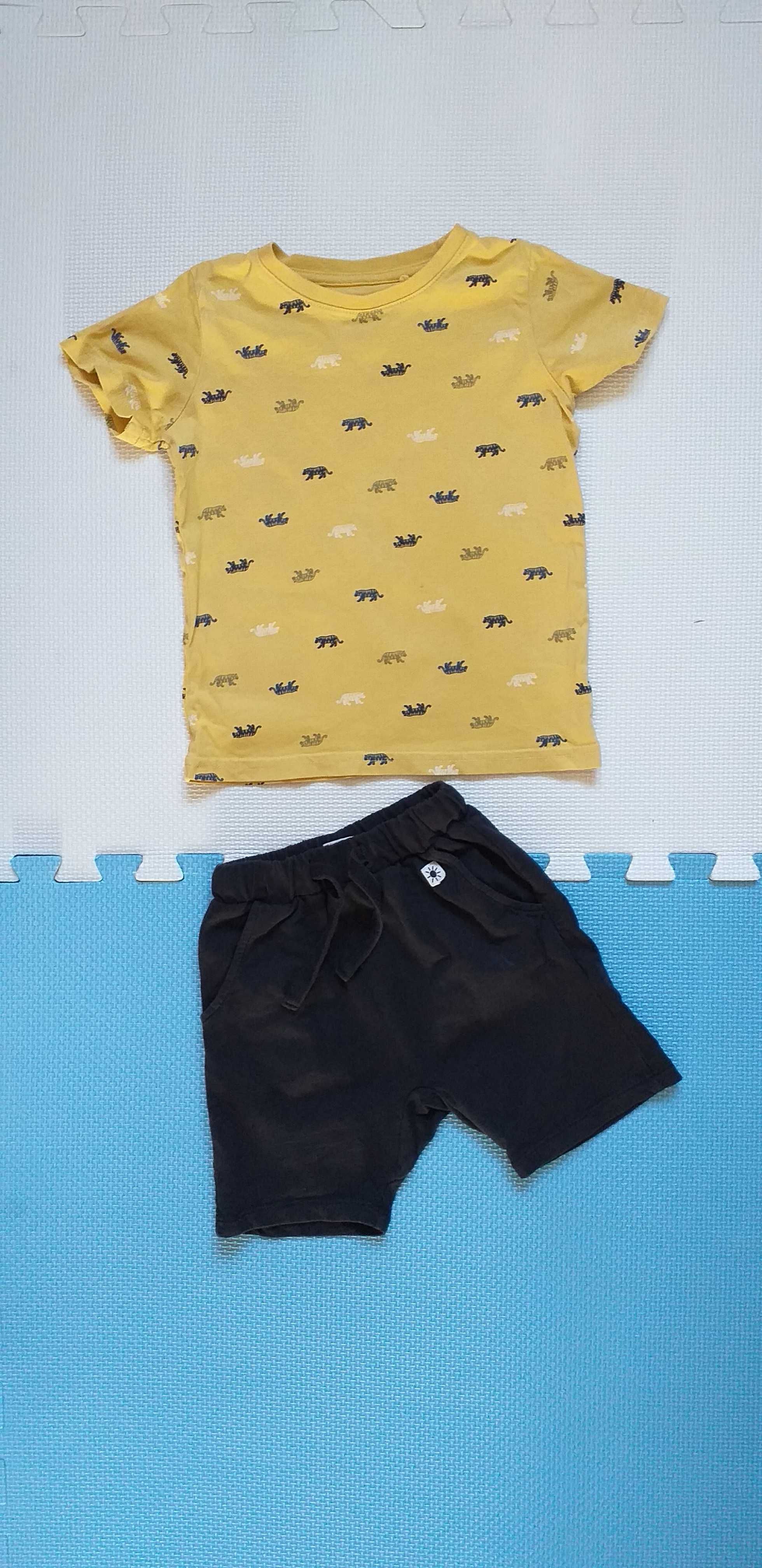 Komplet Lindex na lato krótkie spodenki i t-shirt w tygrysy 86-92