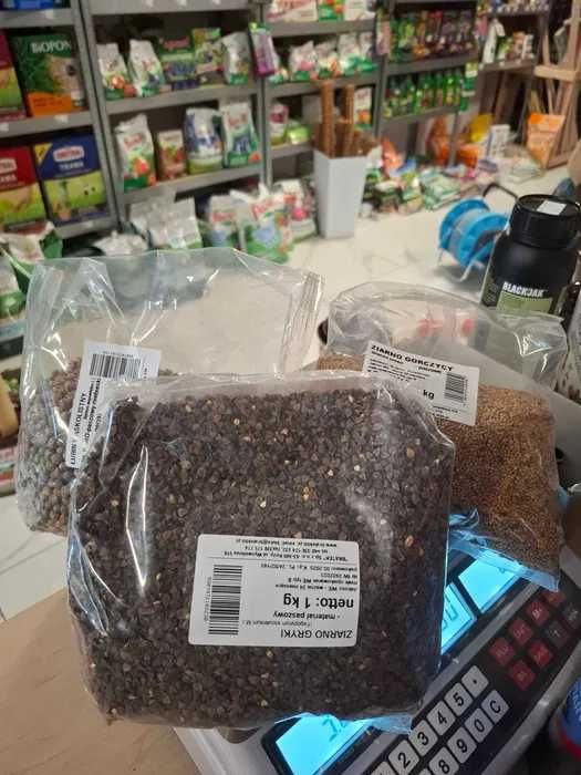 Poplon mix gorczyca Łubin gryka