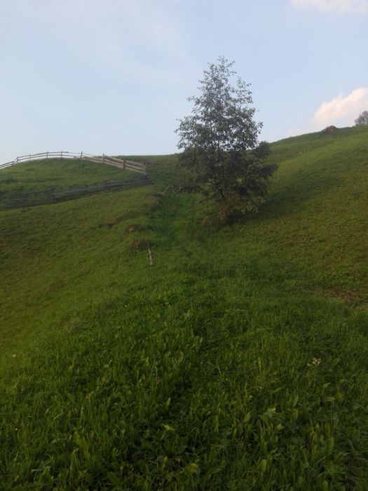 Карпати земельна ділянка