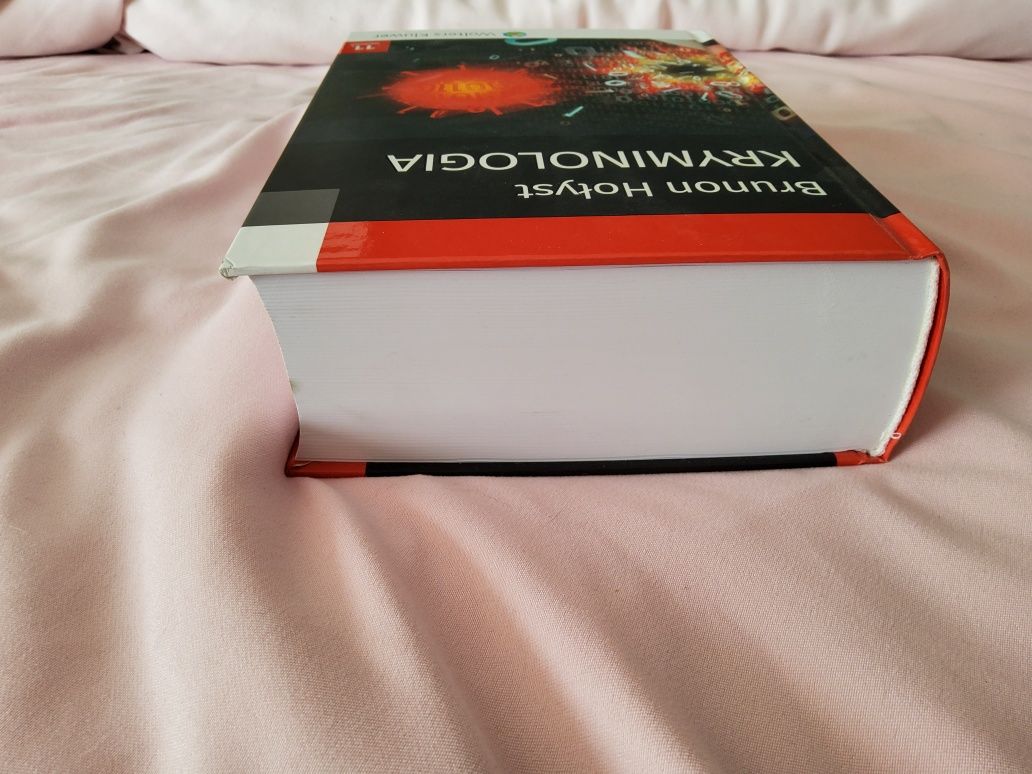 Kryminologia B. Hołyst