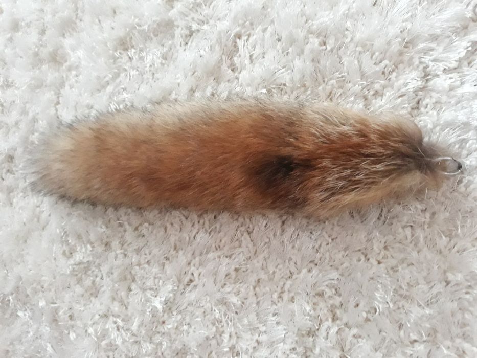 лисячий хвостик