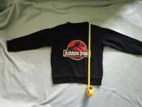 Bluza Jurassic Park 122 116