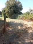 Terreno  para venda