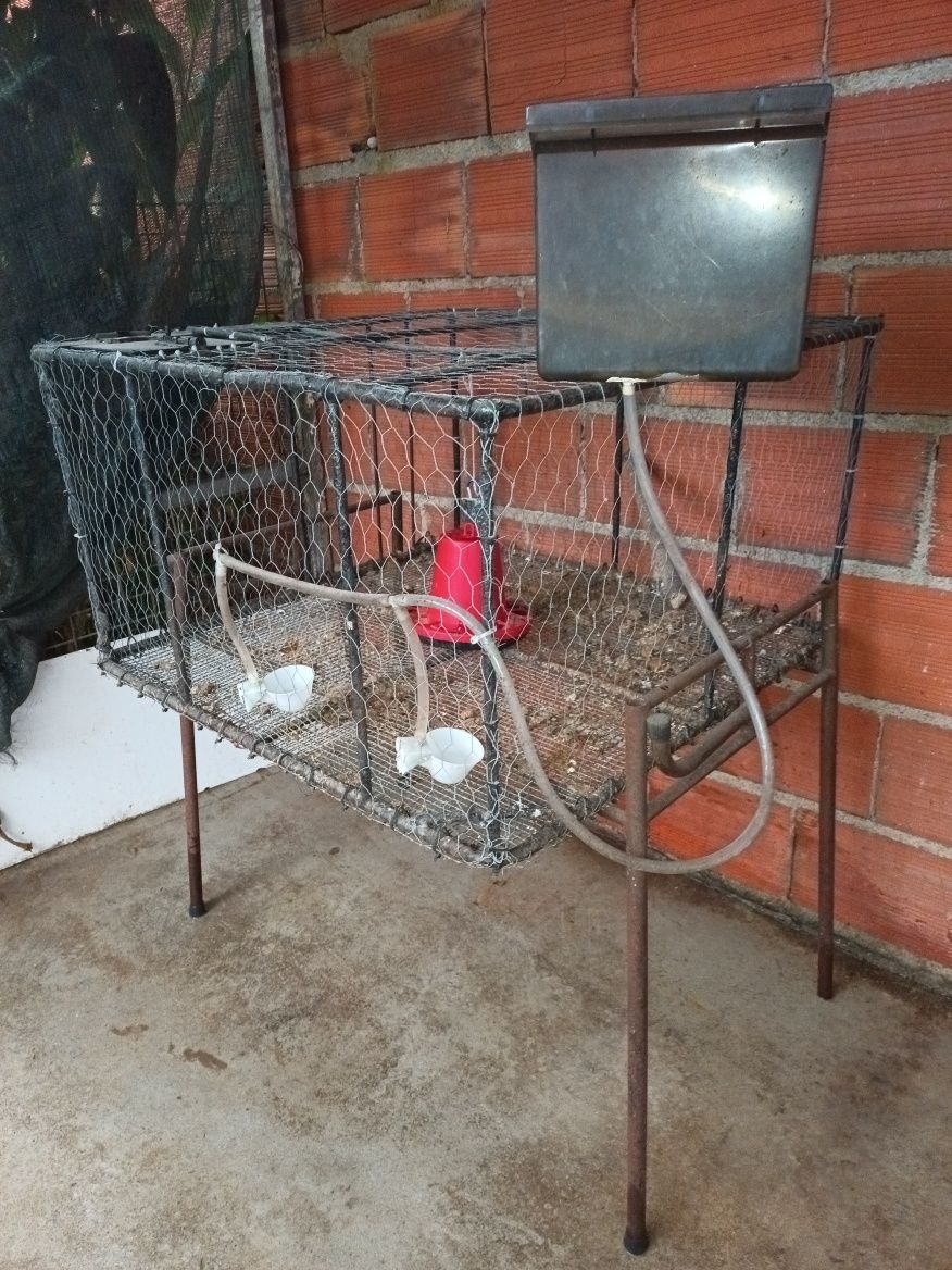 Vivero para aves
