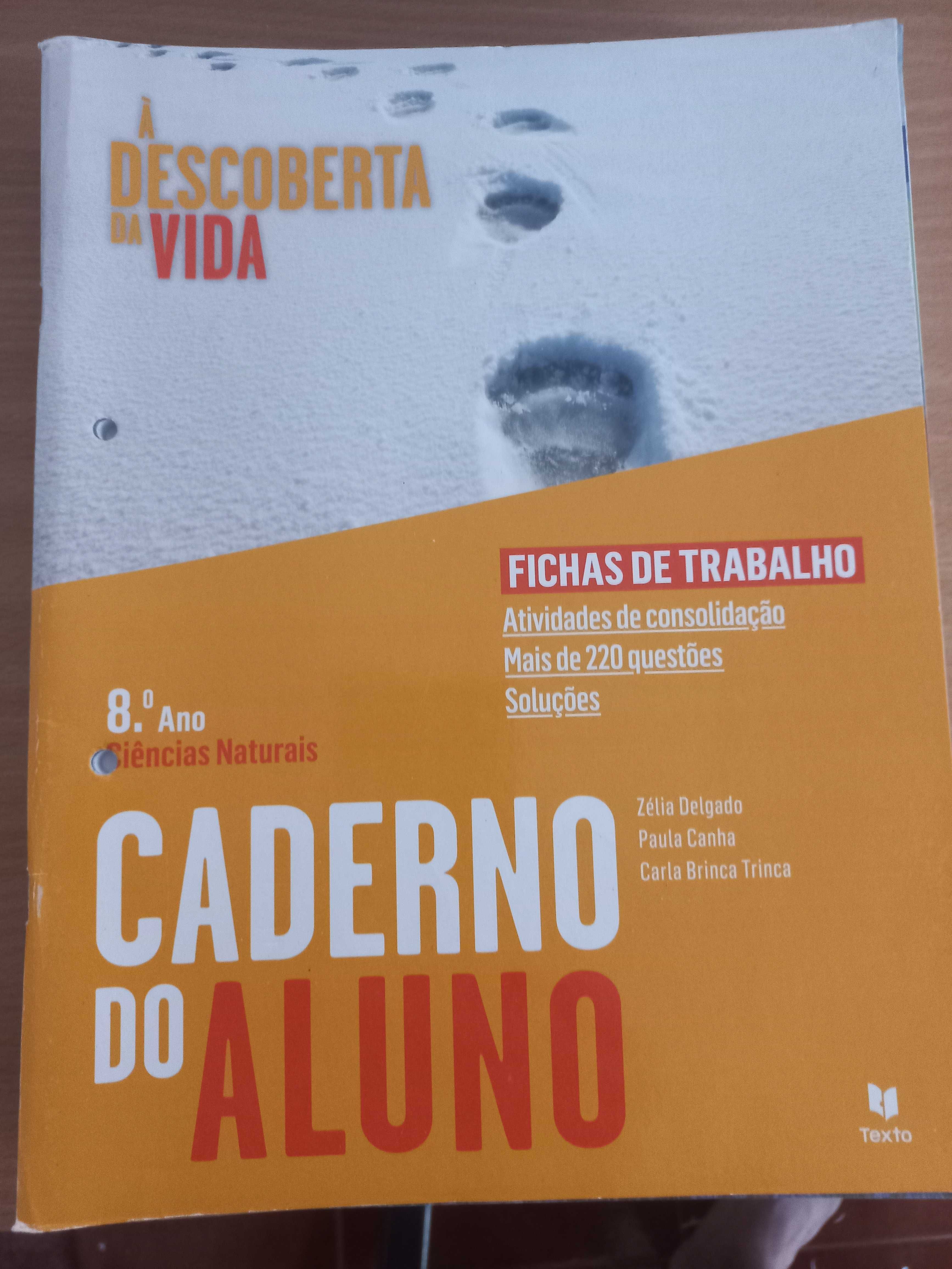 Cadernos de actividades 8°ano Ciências História Matemática Português