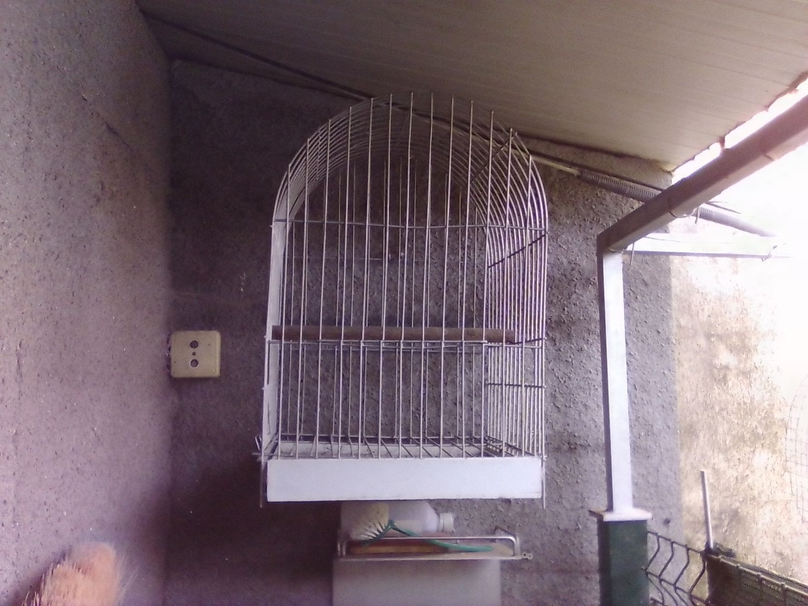 Gaiolas para ceder