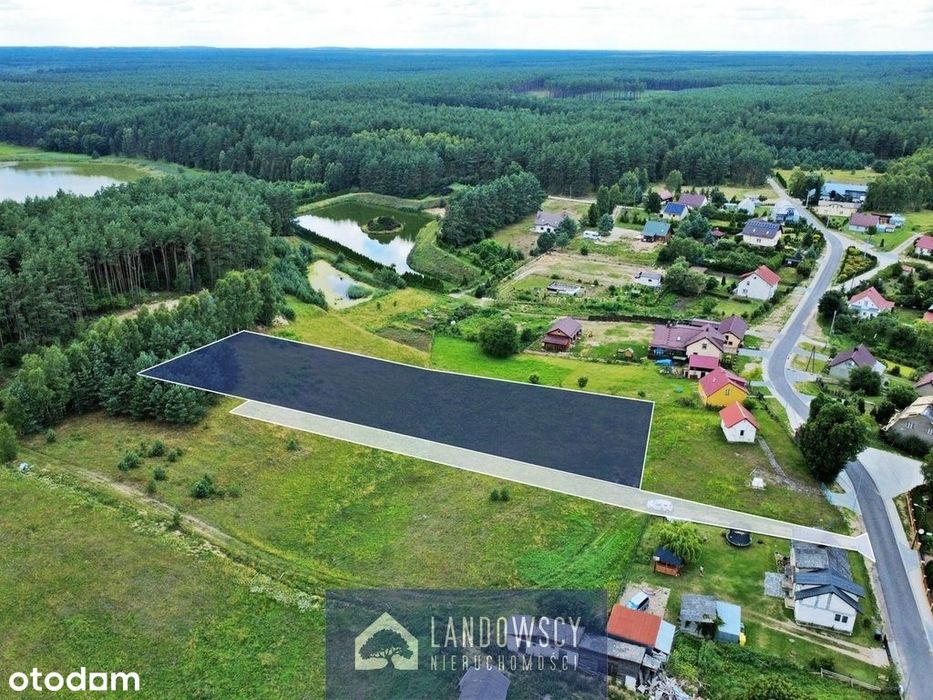 Duża, nietypowa działka blisko lasu