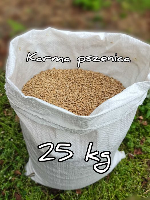 Pszenica Pakowana w worki 25 kg Wysyłka natychmiast Inpost