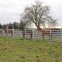 Panele ogrodzeniowe pastwiskowe wygrodzenia dla krów i koni