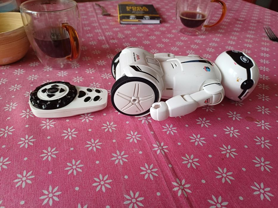 Robot zdalnie sterowany
