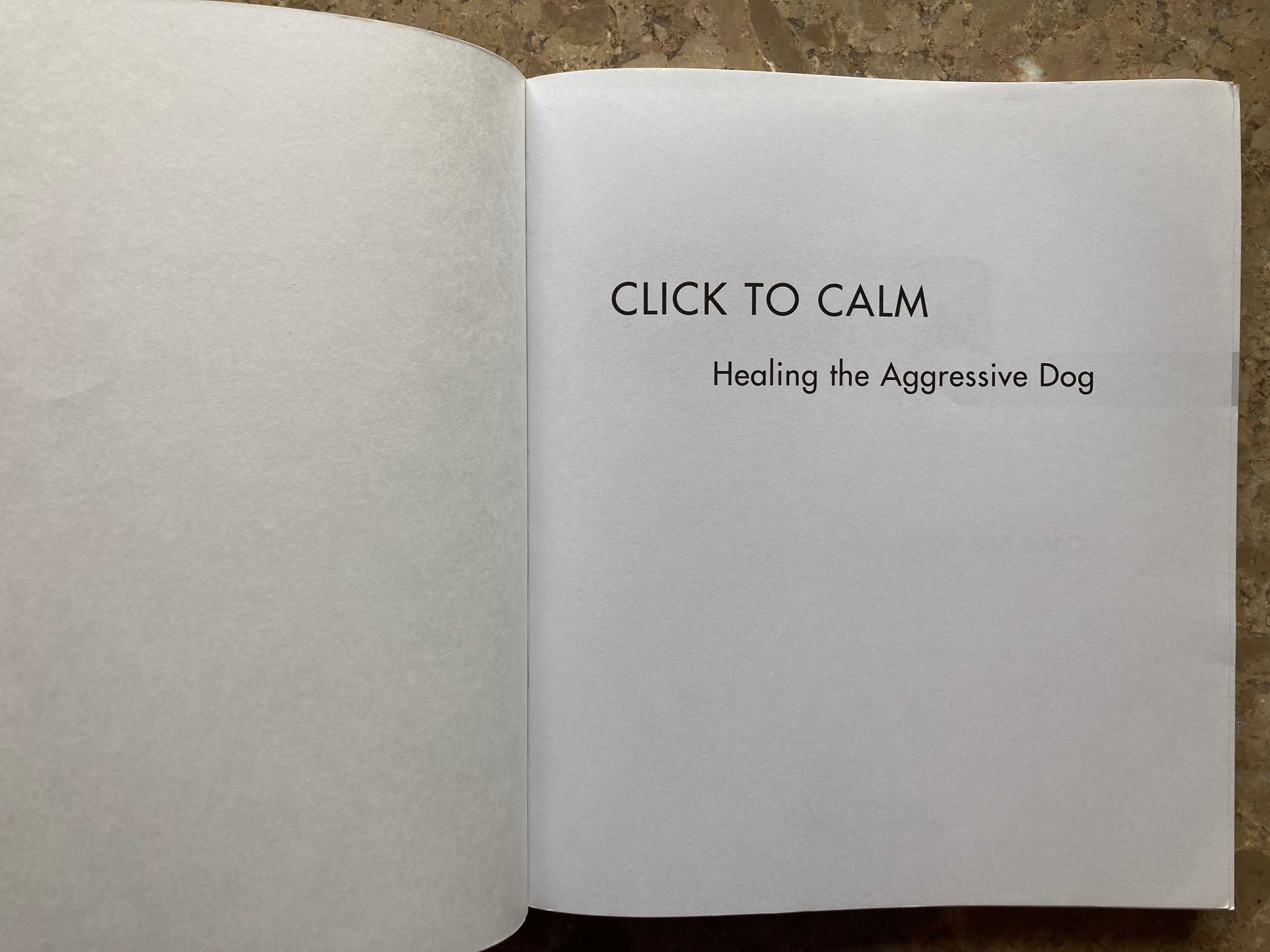 Livro "Click to Calm" - Emma Parsons