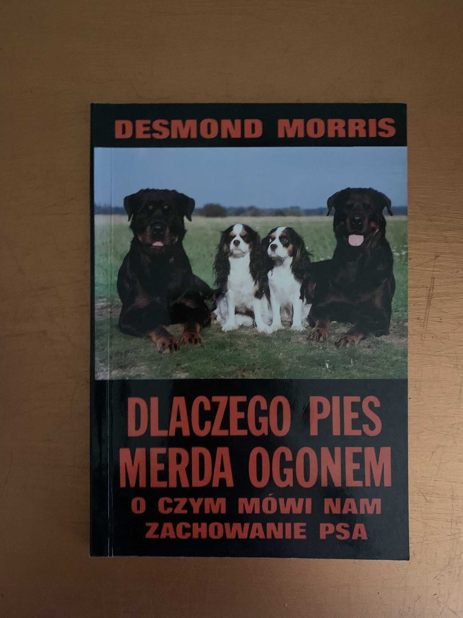 Dlaczego pies merda ogonem D.Morris