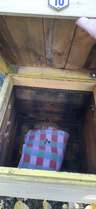 улики, лежаки, корпусні 12, вулики