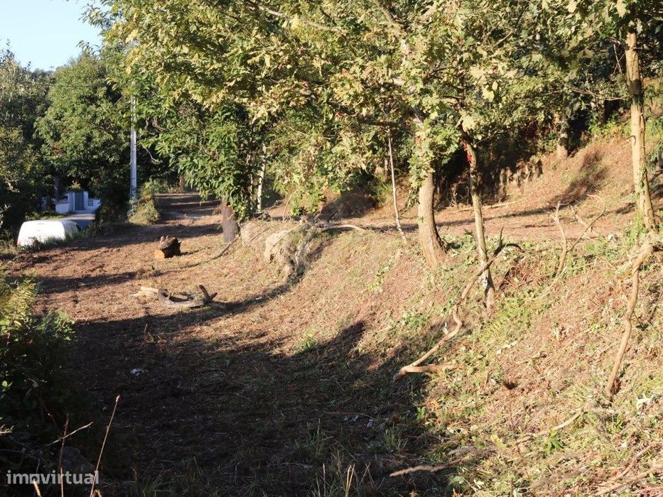 Terreno para construção, na Ribeira