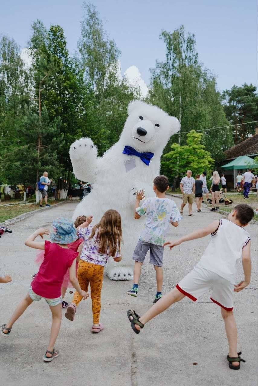 Biały Miś Barni żywa maskotka na imprezę