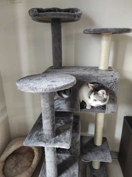 •NOWY• Stabilny Drapak Dla Kota 135cm XXL Dla Małych i Dużych Kotów