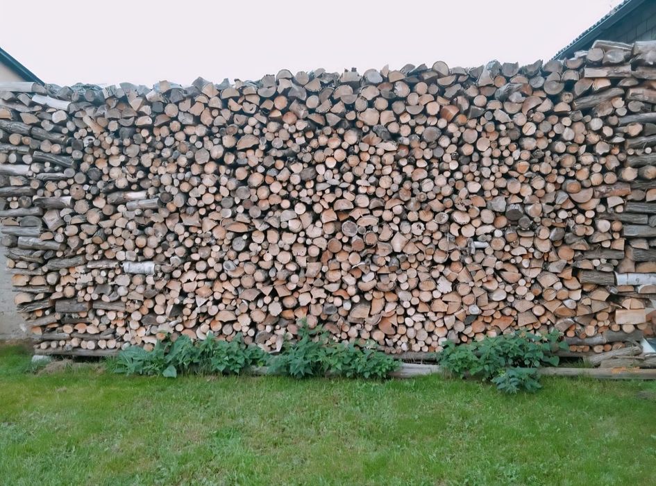 Drewno drzewo opałowe suche