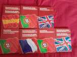 Coleção dicionários  verbos portugues, francês,inglês, espanhol
