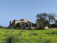 Terreno misto com 1 ha - Para construção de Moradia ou projecto Tur...