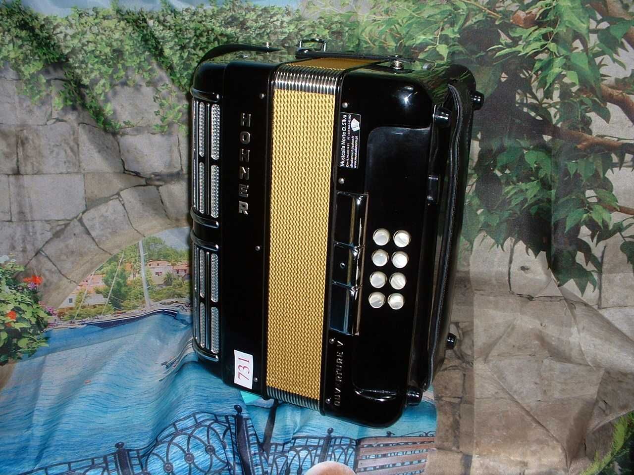 Concertina a venda n.731