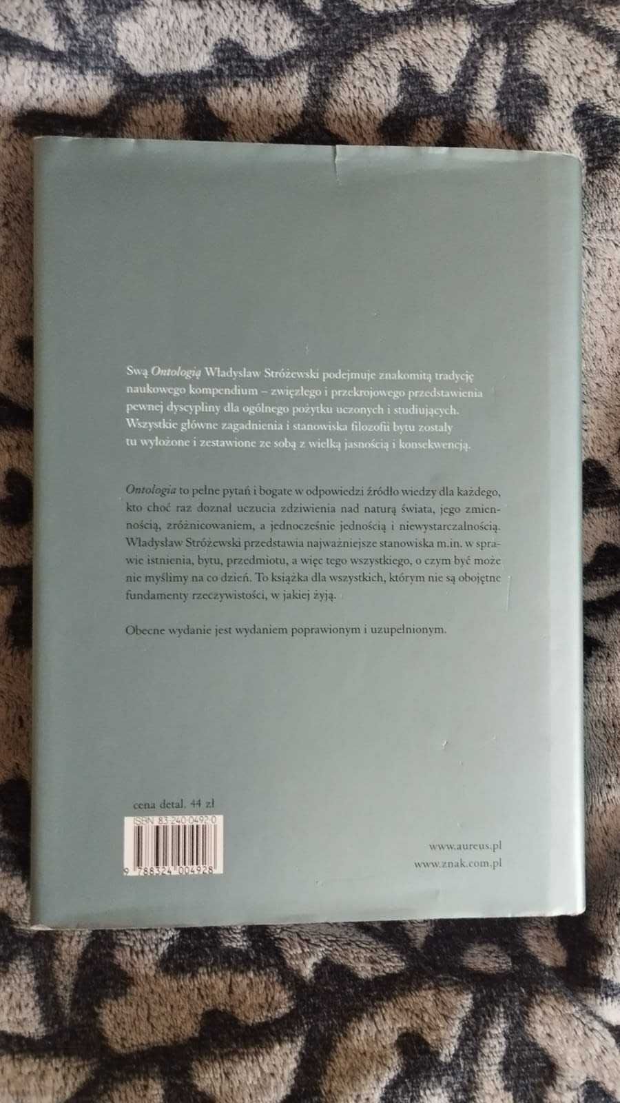 Ontologia Władysław Stróżewski