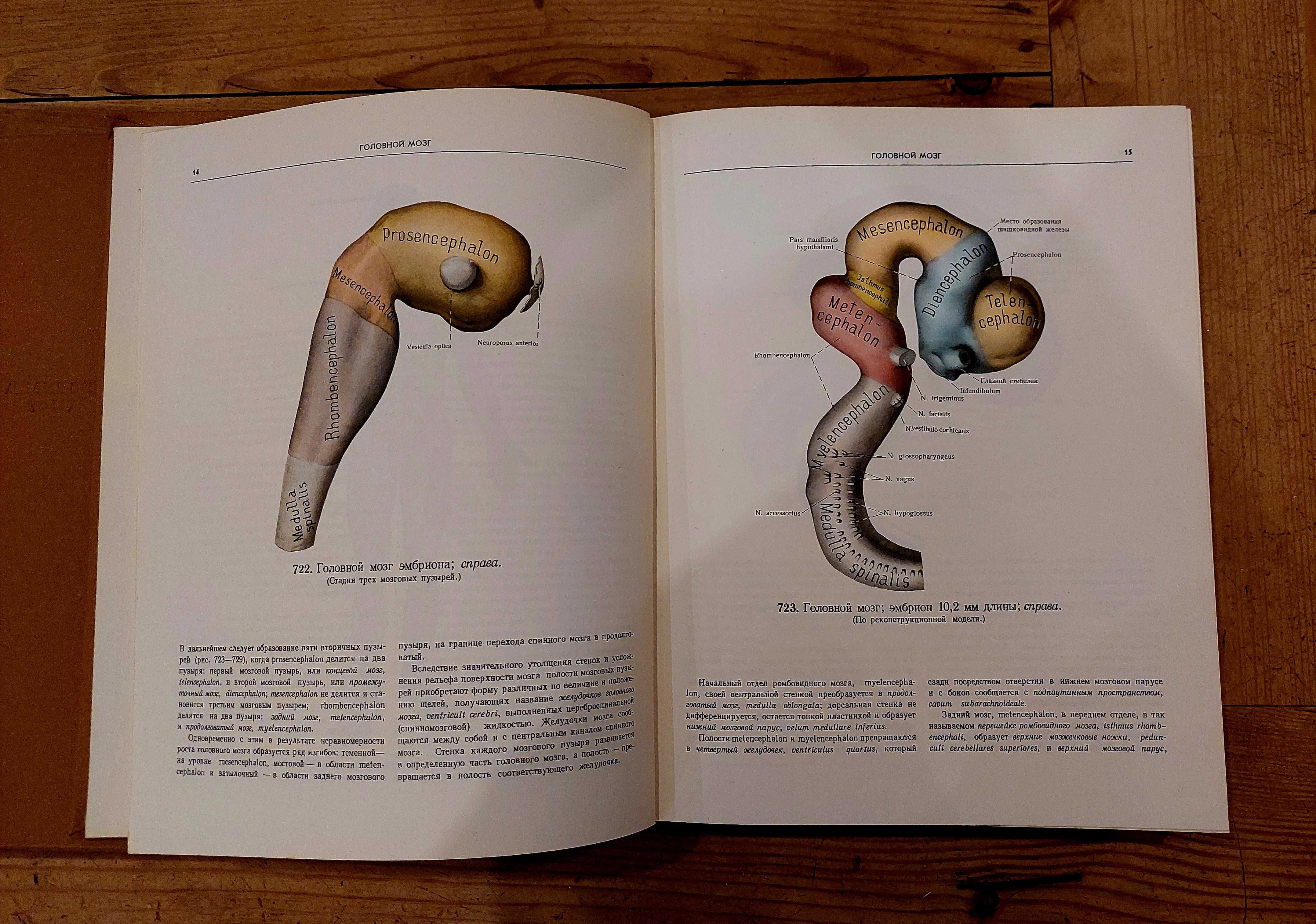 Atlas anatomii człowieka (trzy tomy), R.D. Sinielnikow