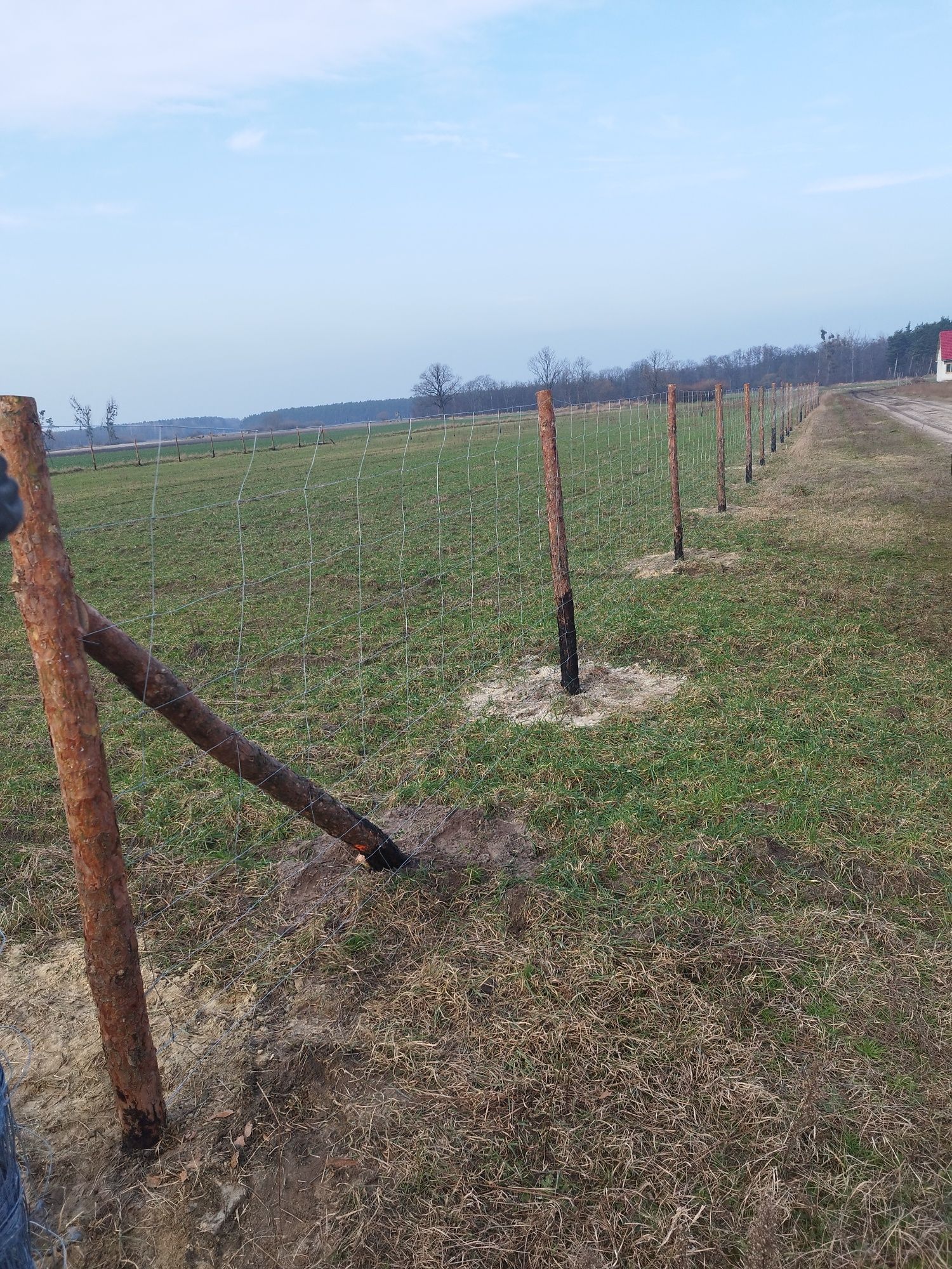 Ogrodzenie budowlane, tymczasowe, leśne