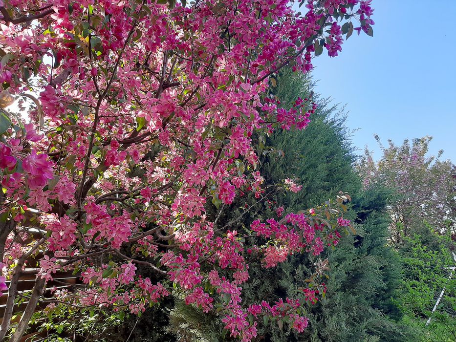 Продам участок на Гагарина, Материк