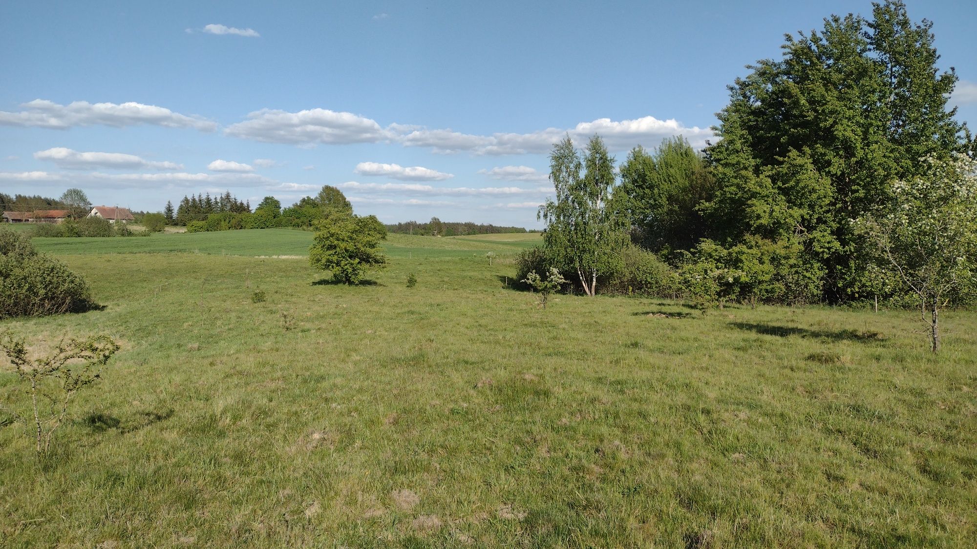 2 działki rekreacyjne w kompleksie działek, Warmia-Mazury