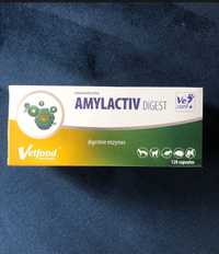Amylactiv Digest enzymy trawienne