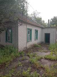 будинок в селі Петриківка