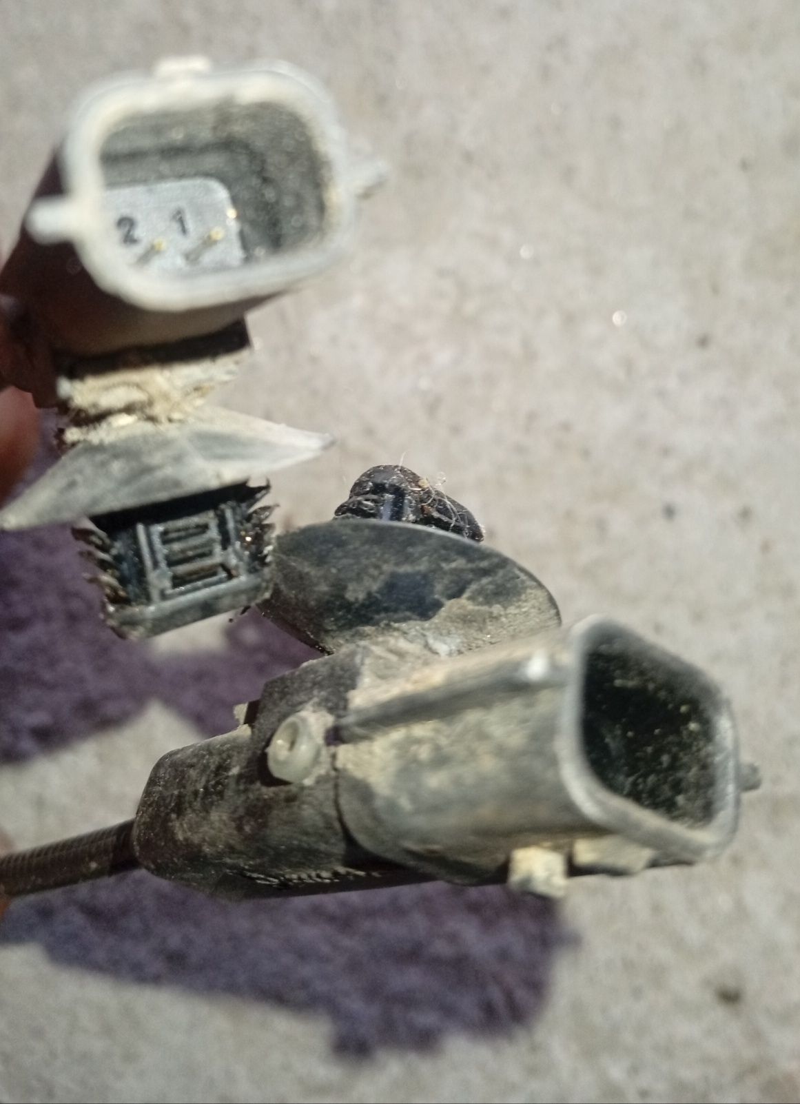 Sonda/sensor  abs Renault