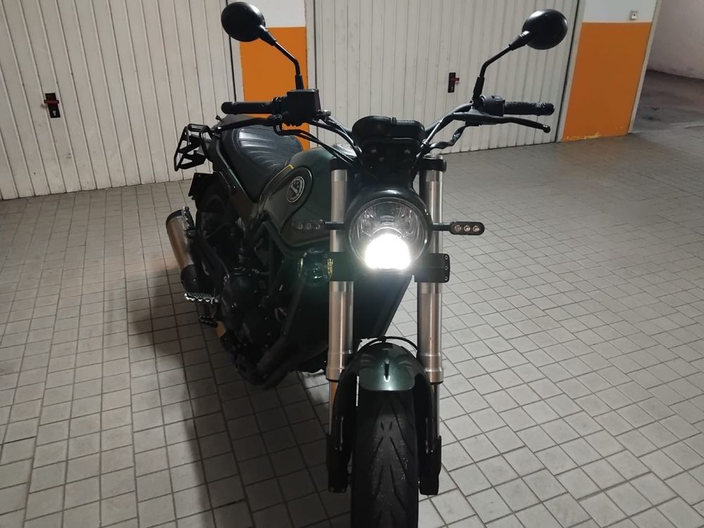 Benelli Leoncino 500