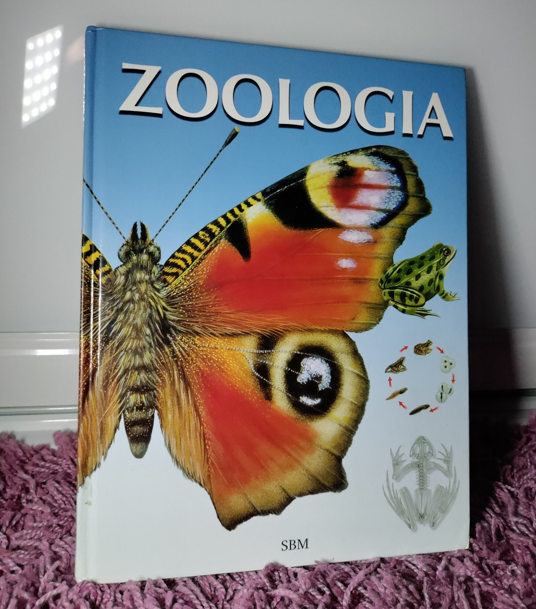 Zoologia SBM książka