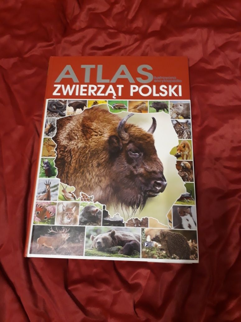 Atlas zwierząt polski.Piękny kolorowy mądry PREZENT
