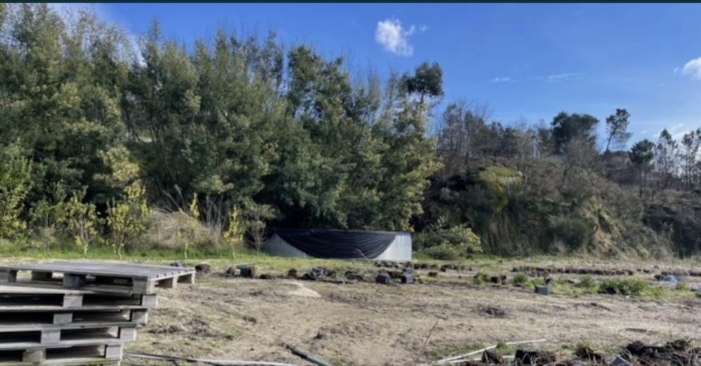 Vendo Terreno com 9 hectares.