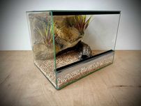 Terrarium szklane z pustynnym wystrojem 40x30x30 cm. AlleTerra